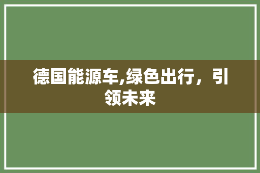 德国能源车,绿色出行，引领未来