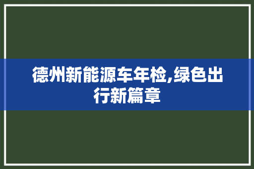 德州新能源车年检,绿色出行新篇章