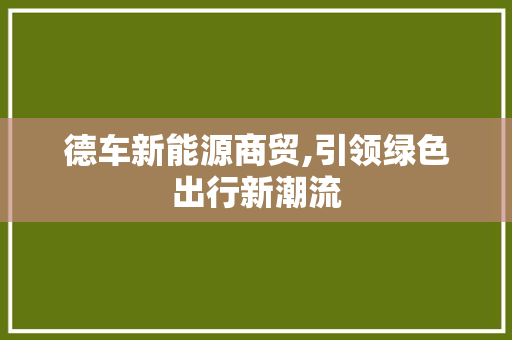 德车新能源商贸,引领绿色出行新潮流