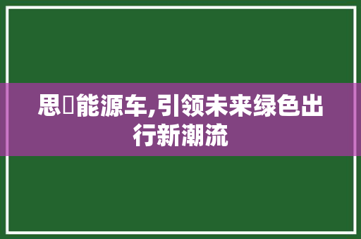 思晧能源车,引领未来绿色出行新潮流