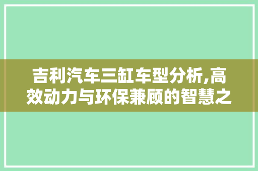 吉利汽车三缸车型分析,高效动力与环保兼顾的智慧之选