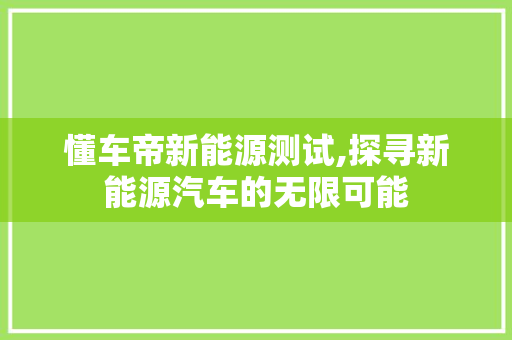 懂车帝新能源测试,探寻新能源汽车的无限可能