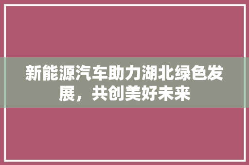 新能源汽车助力湖北绿色发展，共创美好未来