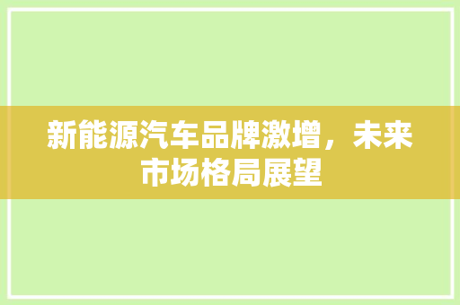 新能源汽车品牌激增，未来市场格局展望