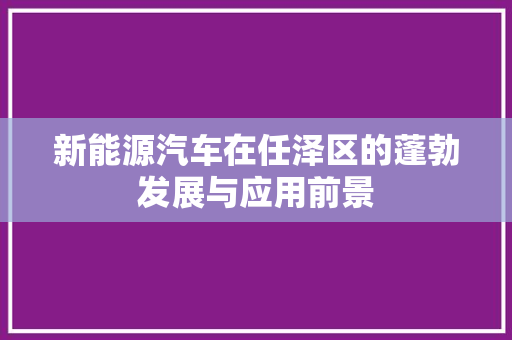 新能源汽车在任泽区的蓬勃发展与应用前景