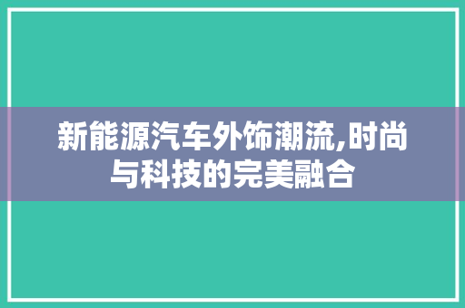 新能源汽车外饰潮流,时尚与科技的完美融合