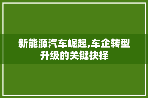 新能源汽车崛起,车企转型升级的关键抉择