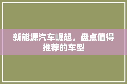 新能源汽车崛起，盘点值得推荐的车型