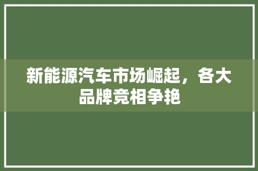 新能源汽车市场崛起，各大品牌竞相争艳