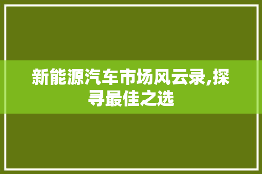 新能源汽车市场风云录,探寻最佳之选