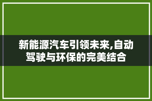 新能源汽车引领未来,自动驾驶与环保的完美结合