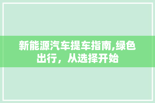 新能源汽车提车指南,绿色出行，从选择开始