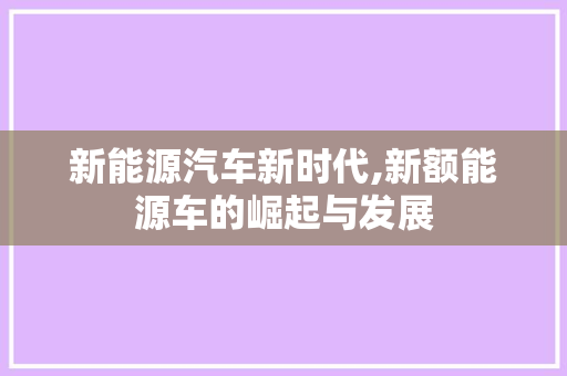 新能源汽车新时代,新额能源车的崛起与发展