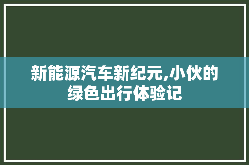 新能源汽车新纪元,小伙的绿色出行体验记
