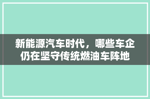 新能源汽车时代，哪些车企仍在坚守传统燃油车阵地