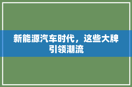 新能源汽车时代，这些大牌引领潮流