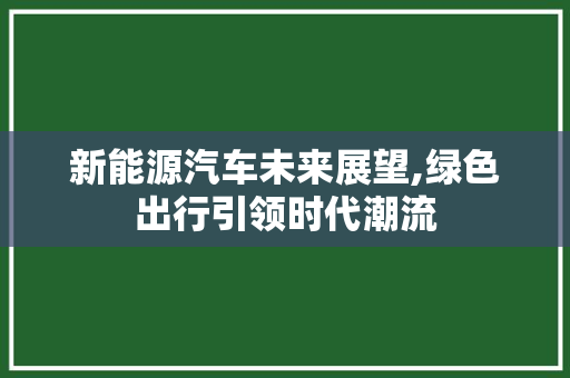 新能源汽车未来展望,绿色出行引领时代潮流