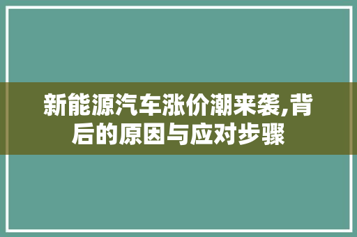 新能源汽车涨价潮来袭,背后的原因与应对步骤