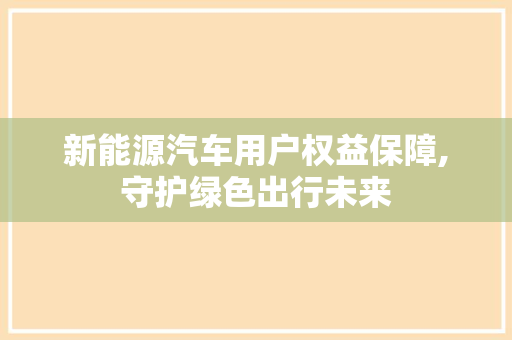 新能源汽车用户权益保障,守护绿色出行未来