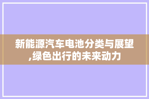 新能源汽车电池分类与展望,绿色出行的未来动力