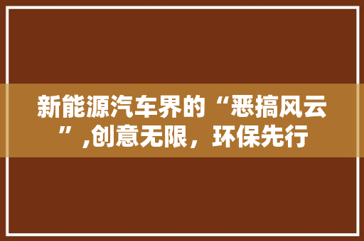 新能源汽车界的“恶搞风云”,创意无限，环保先行