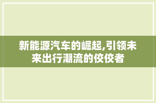 新能源汽车的崛起,引领未来出行潮流的佼佼者