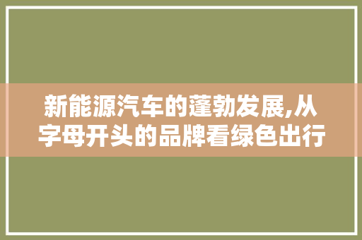 新能源汽车的蓬勃发展,从字母开头的品牌看绿色出行新风尚
