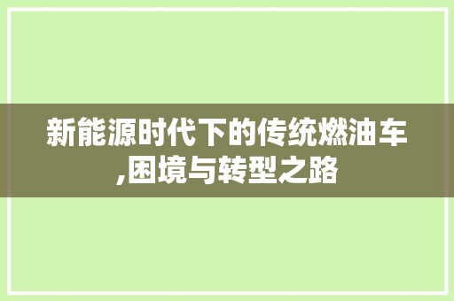 新能源时代下的传统燃油车,困境与转型之路