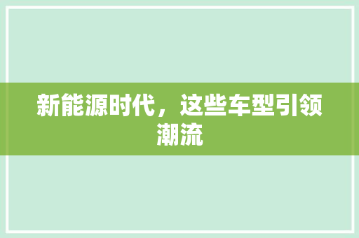 新能源时代，这些车型引领潮流