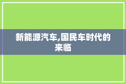 新能源汽车,国民车时代的来临