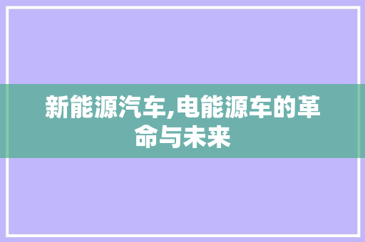 新能源汽车,电能源车的革命与未来
