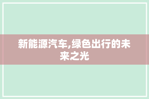 新能源汽车,绿色出行的未来之光