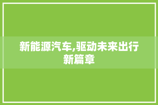 新能源汽车,驱动未来出行新篇章