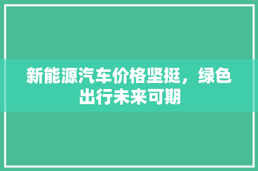 新能源汽车价格坚挺，绿色出行未来可期