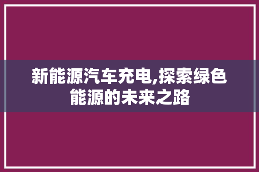 新能源汽车充电,探索绿色能源的未来之路