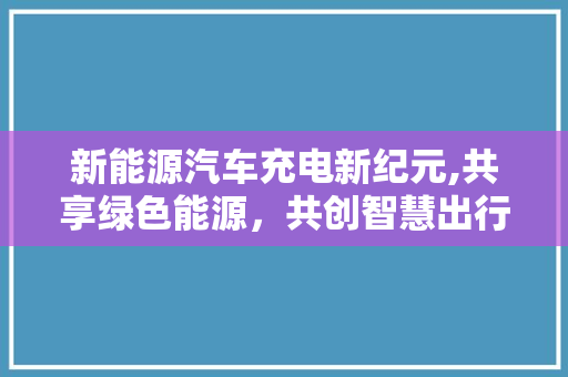 新能源汽车充电新纪元,共享绿色能源，共创智慧出行