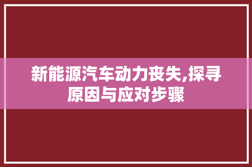新能源汽车动力丧失,探寻原因与应对步骤