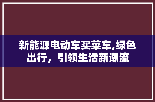 新能源电动车买菜车,绿色出行，引领生活新潮流