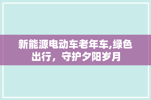新能源电动车老年车,绿色出行，守护夕阳岁月