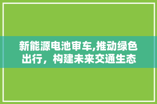 新能源电池审车,推动绿色出行，构建未来交通生态