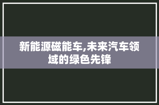 新能源磁能车,未来汽车领域的绿色先锋