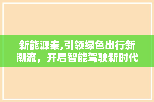 新能源秦,引领绿色出行新潮流，开启智能驾驶新时代