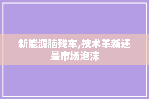 新能源脑残车,技术革新还是市场泡沫