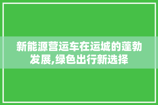 新能源营运车在运城的蓬勃发展,绿色出行新选择