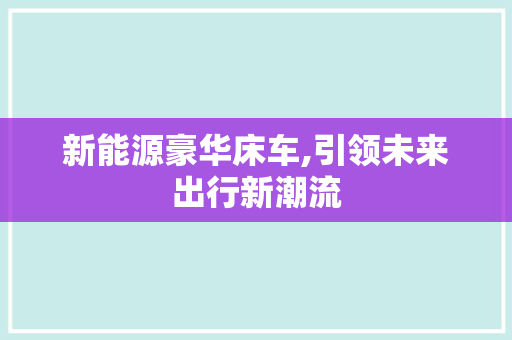 新能源豪华床车,引领未来出行新潮流