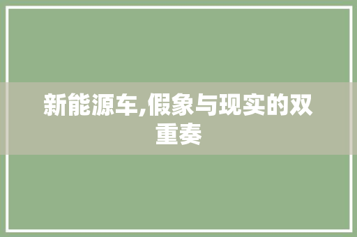新能源车,假象与现实的双重奏