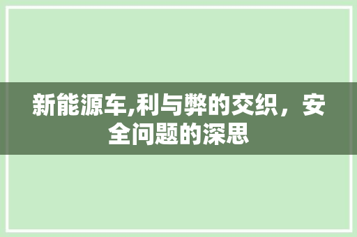 新能源车,利与弊的交织，安全问题的深思