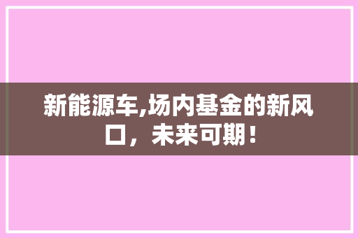 新能源车,场内基金的新风口，未来可期！