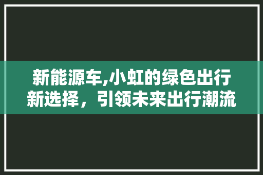 新能源车,小虹的绿色出行新选择，引领未来出行潮流