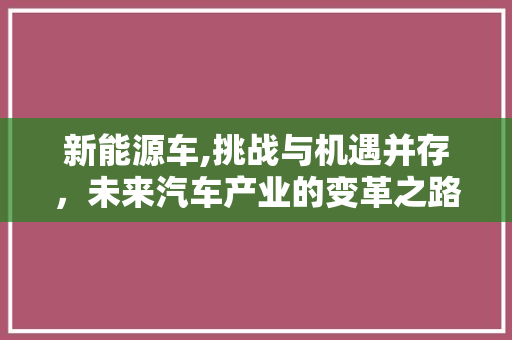 新能源车,挑战与机遇并存，未来汽车产业的变革之路